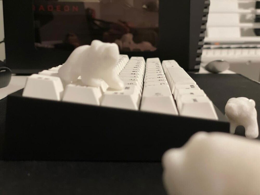 bears discover cherry profile