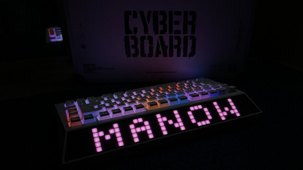 Cyberboard R3 with the case